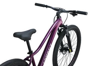 Превью Горный велосипед 26 дюймов Велосипед ASPECT Alma 26 Тёмно-Фиолетовый (2025)